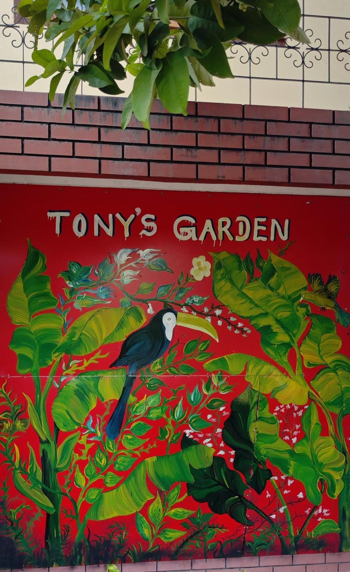 Tony'S Garden House Back Packers Inn Dżafna Zewnętrze zdjęcie
