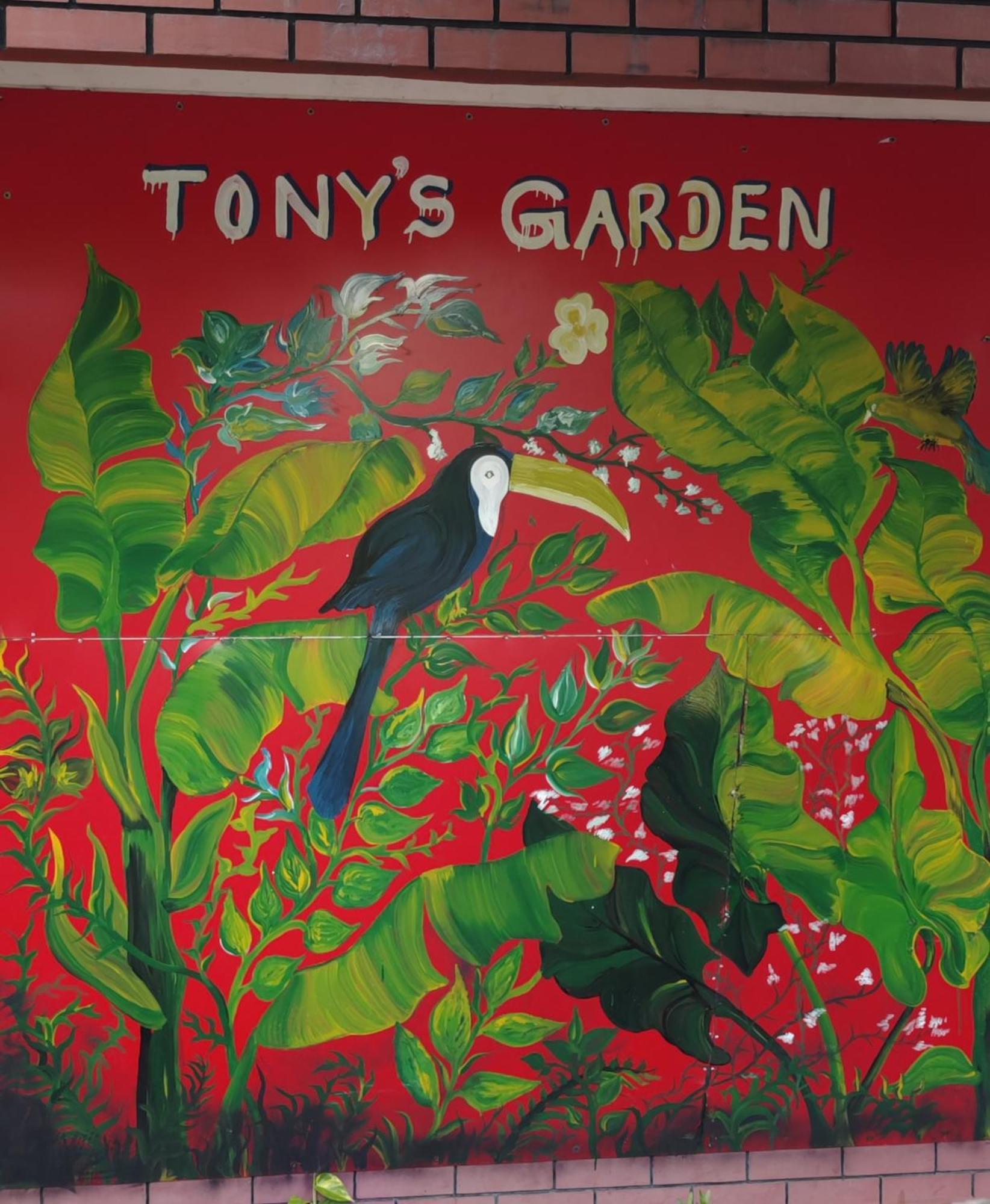 Tony'S Garden House Back Packers Inn Dżafna Zewnętrze zdjęcie